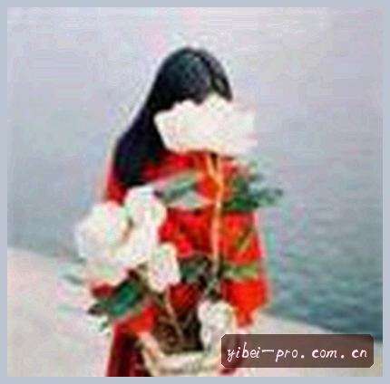 吴婷